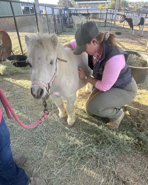 Operations and logistics